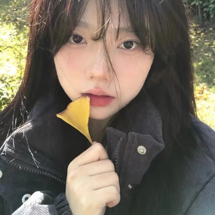 芙蓉仙子