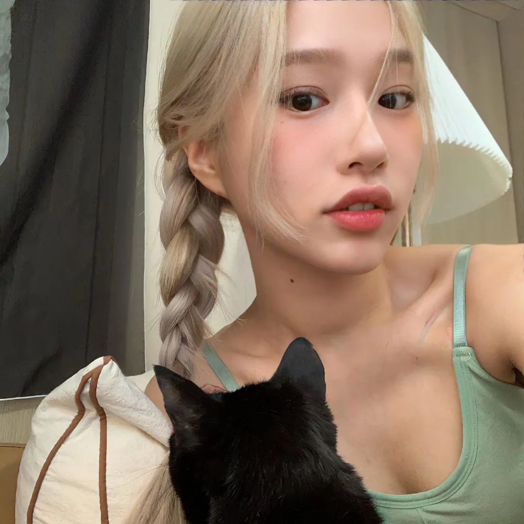 养猫的人